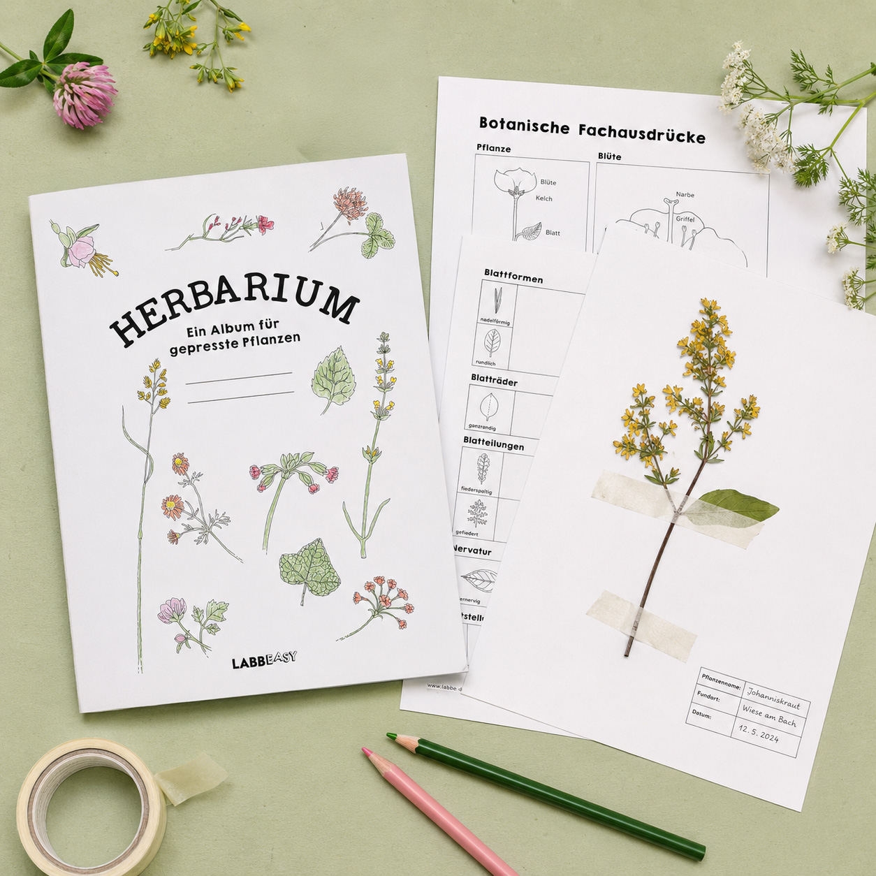What is a Herbarium?