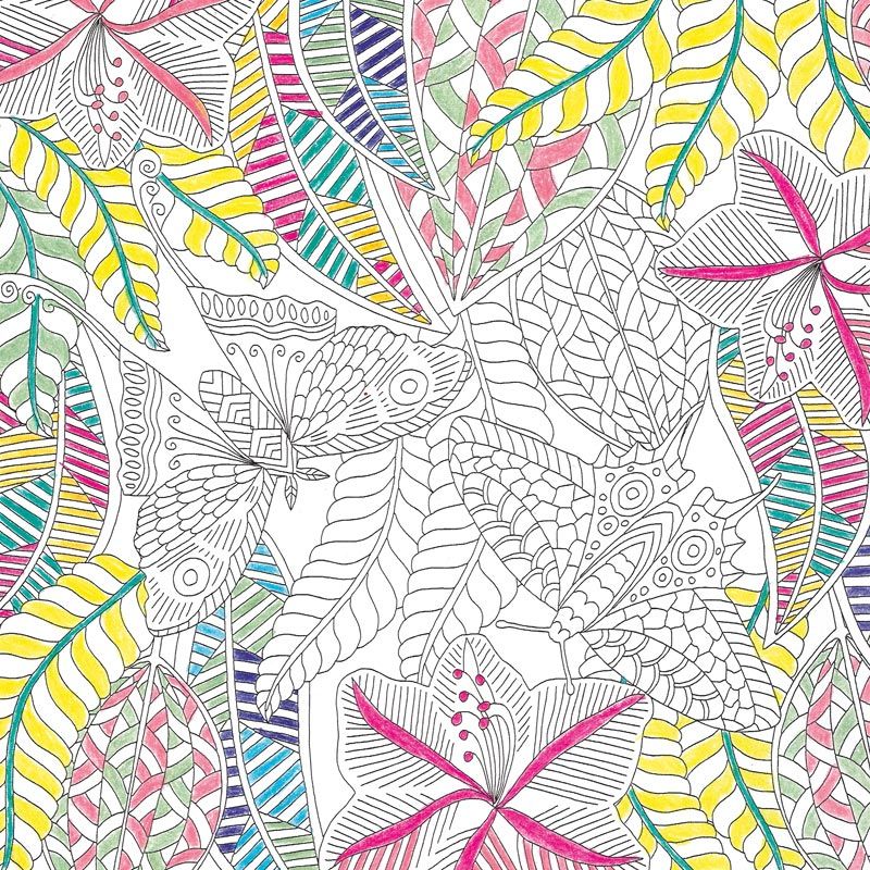 Coloring Pages - In the Jungle