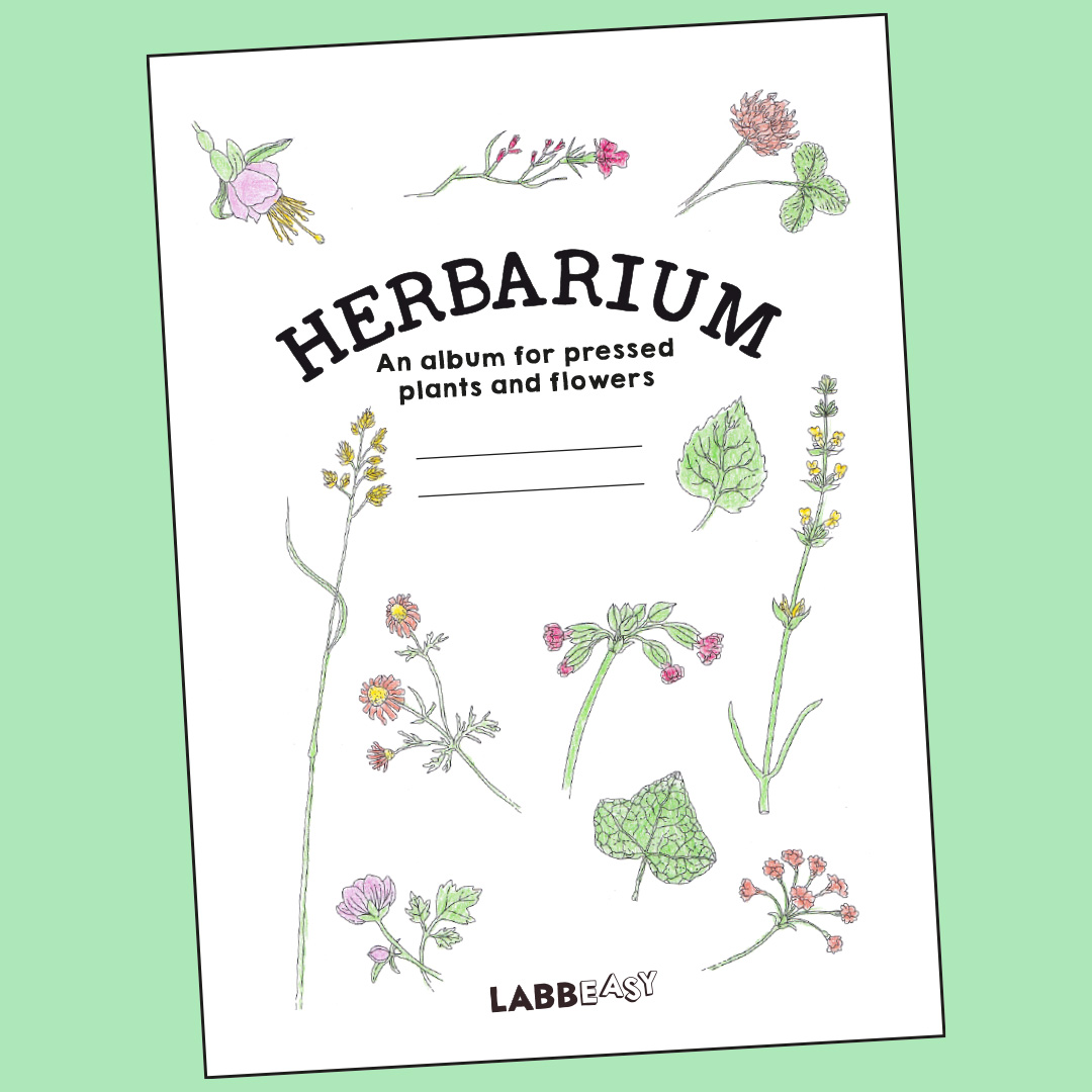 Herbarium